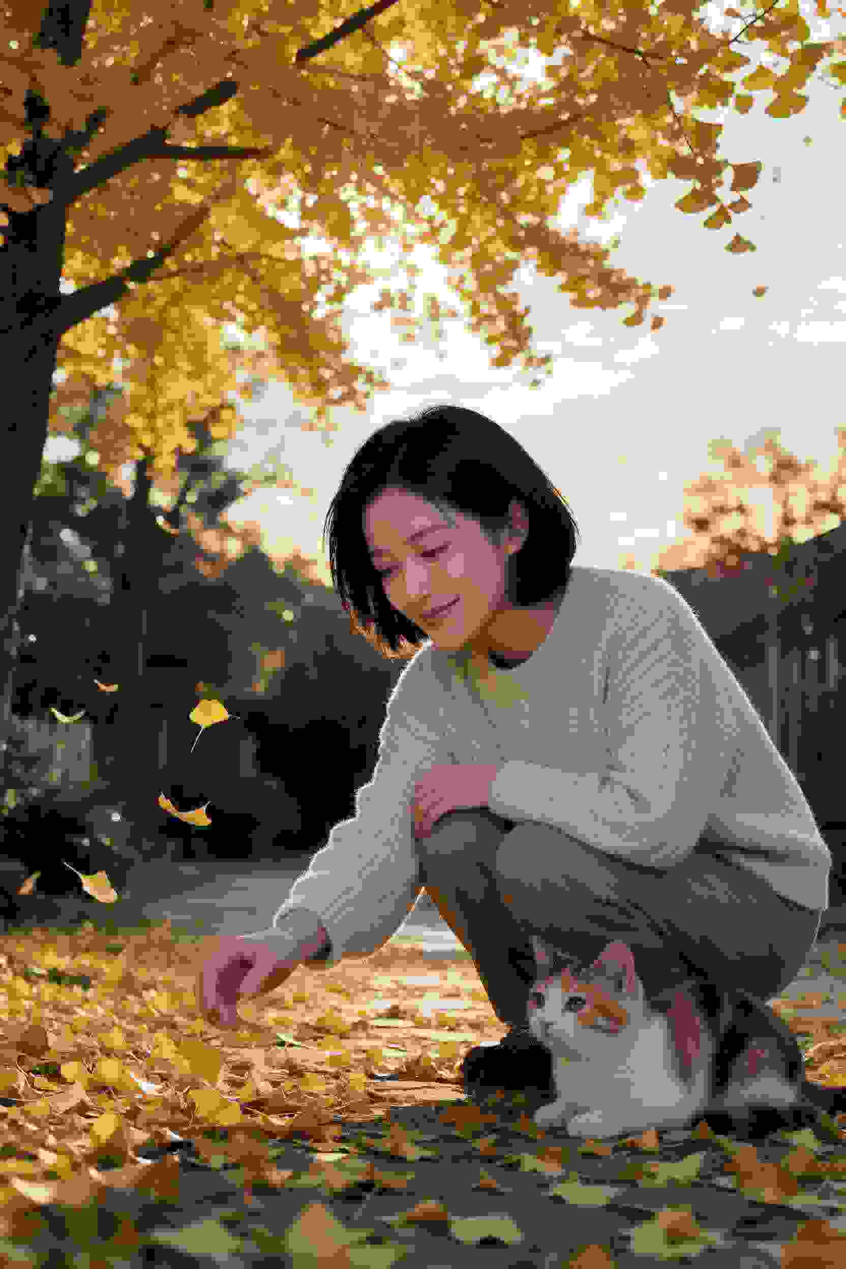 次元交错的命运